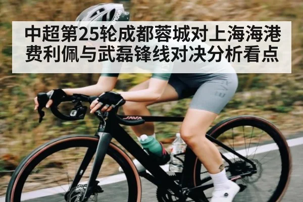 中超第25轮成都蓉城对上海海港费利佩与武磊锋线对决分析看点 - kaiyun
